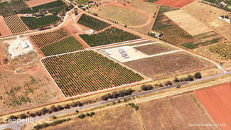 Rural / Farming commercial property sold at 75 Morley Road Yoogali NSW 2680