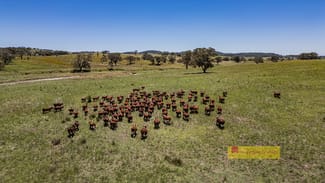 Rural / Farming commercial property sold at 735 Kaludabah Road Mudgee NSW 2850