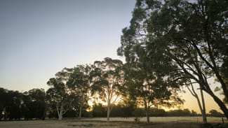 Rural / Farming commercial property sold at 252 Ellenbrook Road Bullsbrook WA 6084 Rural / Farming commercial property sold at 252 Ellenbrook Road Bullsbrook WA 6084