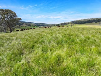 Rural / Farming commercial property sold at 1026 Lower Bendoc Road Bendoc VIC 3888 Rural / Farming commercial property sold at 1026 Lower Bendoc Road Bendoc VIC 3888