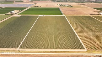 Rural / Farming commercial property sold at 229 Savage Road Bilbul NSW 2680