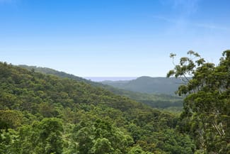 Rural / Farming commercial property for sale at 138 Araluen Road Tallebudgera Valley QLD 4228