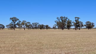 Rural / Farming commercial property sold at 505 Bangham Rd Custon SA 5269 Rural / Farming commercial property sold at 505 Bangham Rd Custon SA 5269