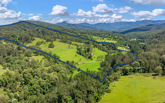 Rural / Farming commercial property sold at 3545 Allyn River Road East Gresford NSW 2311
