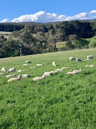 Rural / Farming commercial property sold at 3 Yetholme Drive Walang NSW 2795 Rural / Farming commercial property sold at 3 Yetholme Drive Walang NSW 2795