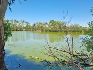 Rural / Farming commercial property for sale at Kamilaroi Hwy Highway Brewarrina NSW 2839