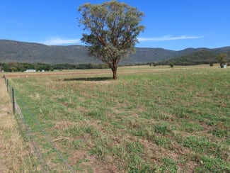 Rural / Farming commercial property sold at "Glen Bovie" 272 Langens Lane Tamworth NSW 2340 Rural / Farming commercial property sold at "Glen Bovie" 272 Langens Lane Tamworth NSW 2340