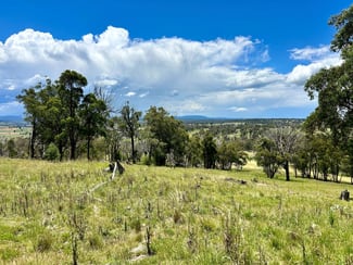 Rural / Farming commercial property sold at Lot 338 Swilks Road Uralla NSW 2358 Rural / Farming commercial property sold at Lot 338 Swilks Road Uralla NSW 2358