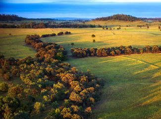 Rural / Farming commercial property sold at 833 Fosters Road Guluguba QLD 4418