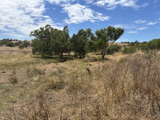 Rural / Farming commercial property sold at Lot 101 Drage Street Sandy Gully WA 6535 Rural / Farming commercial property sold at Lot 101 Drage Street Sandy Gully WA 6535
