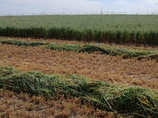 Rural / Farming commercial property sold at Lot 3816 Minyulo Road Dandaragan WA 6507 Rural / Farming commercial property sold at Lot 3816 Minyulo Road Dandaragan WA 6507