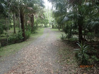 Rural / Farming commercial property sold at 685 Bagotville Road Bagotville NSW 2477