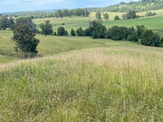 Rural / Farming commercial property sold at 2033 The Bucketts Way Weismantels NSW 2415