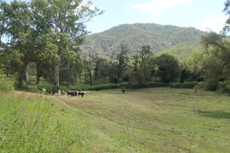 Rural / Farming commercial property sold at 4/2501 Rocky River Road Rocky River NSW 2372 Rural / Farming commercial property sold at 4/2501 Rocky River Road Rocky River NSW 2372