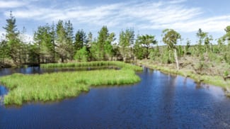 Rural / Farming commercial property for sale at 464 Tally Ho Bombay NSW 2622