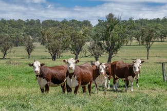 Rural / Farming commercial property sold at 865 Upper Spring Creek Road Spring Creek QLD 4361