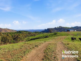 Rural / Farming commercial property for sale at 613 Diffey Road Everton VIC 3678