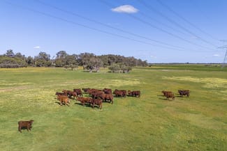 Rural / Farming commercial property sold at Lot 3119 Brand Highway Gingin WA 6503 Rural / Farming commercial property sold at Lot 3119 Brand Highway Gingin WA 6503