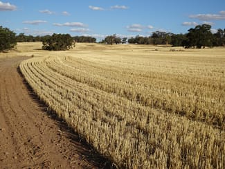 Rural / Farming commercial property sold at 1811 Williams Kondinin Road Minigin WA 6312 Rural / Farming commercial property sold at 1811 Williams Kondinin Road Minigin WA 6312
