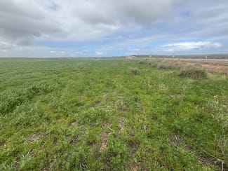 Rural / Farming commercial property sold at Lot 17 White Cliffs Road Sandy Gully WA 6535 Rural / Farming commercial property sold at Lot 17 White Cliffs Road Sandy Gully WA 6535