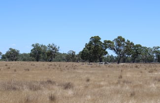 Rural / Farming commercial property sold at 535 Grub Lane Patyah VIC 3318 Rural / Farming commercial property sold at 535 Grub Lane Patyah VIC 3318