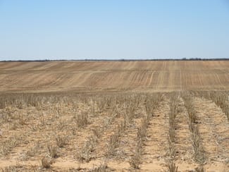 Rural / Farming commercial property sold at Hayden Lane Piangil VIC 3597