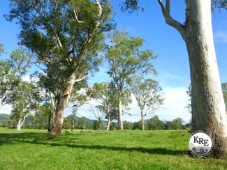 Rural / Farming commercial property sold at 1038 Summerland Way Kyogle NSW 2474