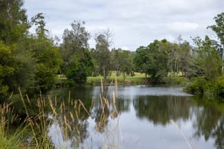 Rural / Farming commercial property sold at 300 Martells Road Bellingen NSW 2454