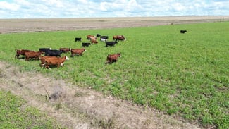 Rural / Farming commercial property sold at 60 Telford Road Biddeston QLD 4401 Rural / Farming commercial property sold at 60 Telford Road Biddeston QLD 4401