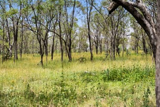 Rural / Farming commercial property sold at "Keheler Park" Lot89 Springate Lane Pratten QLD 4370 Rural / Farming commercial property sold at "Keheler Park" Lot89 Springate Lane Pratten QLD 4370