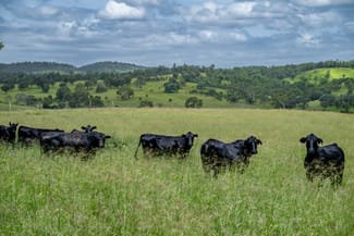 Rural / Farming commercial property sold at 3128 Manumbar Road Elgin Vale QLD 4615 Rural / Farming commercial property sold at 3128 Manumbar Road Elgin Vale QLD 4615