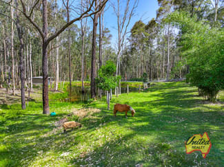 Rural / Farming commercial property sold at 90 Bamburgh Road Werombi NSW 2570 Rural / Farming commercial property sold at 90 Bamburgh Road Werombi NSW 2570