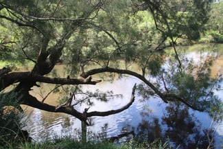 Rural / Farming commercial property sold at 147 Rover Park Road Tenterfield NSW 2372