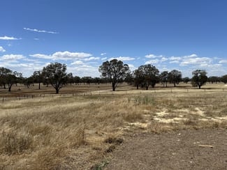 Rural / Farming commercial property sold at 227 Possinghams Road Naracoorte SA 5271