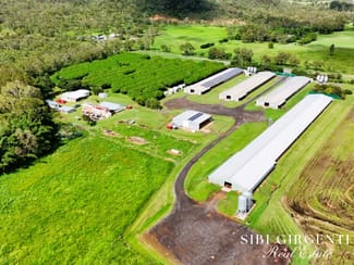 Rural / Farming commercial property for sale at 1004 Bilwon Road Biboohra QLD 4880 Rural / Farming commercial property for sale at 1004 Bilwon Road Biboohra QLD 4880