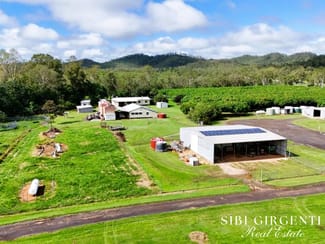 Rural / Farming commercial property for sale at 1004 Bilwon Road Biboohra QLD 4880 Rural / Farming commercial property for sale at 1004 Bilwon Road Biboohra QLD 4880