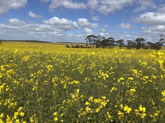 Rural / Farming commercial property sold at 1105 Coorow-Greenhead Road Coorow WA 6515 Rural / Farming commercial property sold at 1105 Coorow-Greenhead Road Coorow WA 6515
