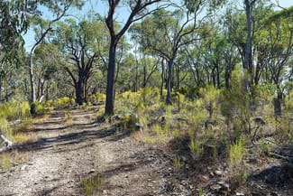 Rural / Farming commercial property sold at Lot 4 McNutts Lane Heathcote VIC 3523 Rural / Farming commercial property sold at Lot 4 McNutts Lane Heathcote VIC 3523