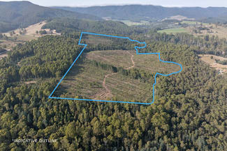 Rural / Farming commercial property sold at Lot 1 East Maurice Road Talawa TAS 7263 Rural / Farming commercial property sold at Lot 1 East Maurice Road Talawa TAS 7263