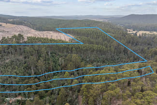 Rural / Farming commercial property sold at 235 Butlers Road Lebrina TAS 7254 Rural / Farming commercial property sold at 235 Butlers Road Lebrina TAS 7254