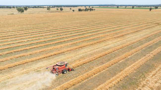 Rural / Farming commercial property sold at 412 McPhersons Road Lilliput VIC 3682