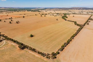Rural / Farming commercial property for sale at 226 Cloughs Road Wagga Wagga NSW 2650 Rural / Farming commercial property for sale at 226 Cloughs Road Wagga Wagga NSW 2650