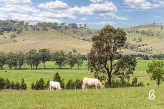 Rural / Farming commercial property sold at 2487 Jerrys Plains Road Singleton NSW 2330 Rural / Farming commercial property sold at 2487 Jerrys Plains Road Singleton NSW 2330