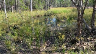 Rural / Farming commercial property sold at L184 Golden Glow Road Tara QLD 4421 Rural / Farming commercial property sold at L184 Golden Glow Road Tara QLD 4421