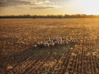 Rural / Farming commercial property sold at Rutherglen 181 Rutherglen Road Nyngan NSW 2825 Rural / Farming commercial property sold at Rutherglen 181 Rutherglen Road Nyngan NSW 2825