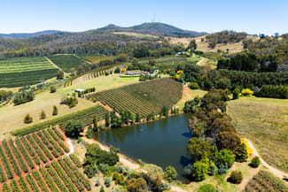Rural / Farming commercial property for sale at 293 Nancarrow Lane Orange NSW 2800