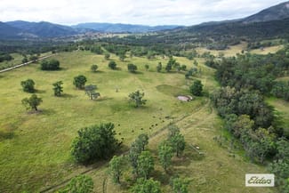 Rural / Farming commercial property for sale at 10 Razorback Creek Road Rivertree NSW 2372