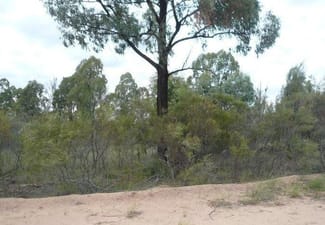 Rural / Farming commercial property for sale at Lot 167 Thegathlyn Road Tara QLD 4421 Rural / Farming commercial property for sale at Lot 167 Thegathlyn Road Tara QLD 4421