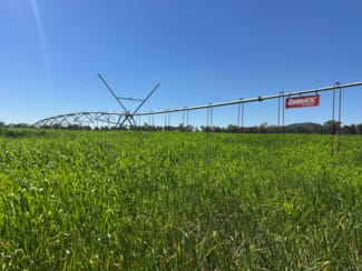 Rural / Farming commercial property for sale at 137 Fletchers Lane Wagga Wagga NSW 2650 Rural / Farming commercial property for sale at 137 Fletchers Lane Wagga Wagga NSW 2650