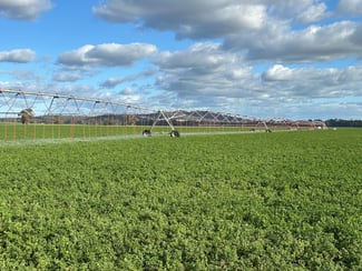 Rural / Farming commercial property for sale at 929 Old Narrandera Road Wagga Wagga NSW 2650 Rural / Farming commercial property for sale at 929 Old Narrandera Road Wagga Wagga NSW 2650